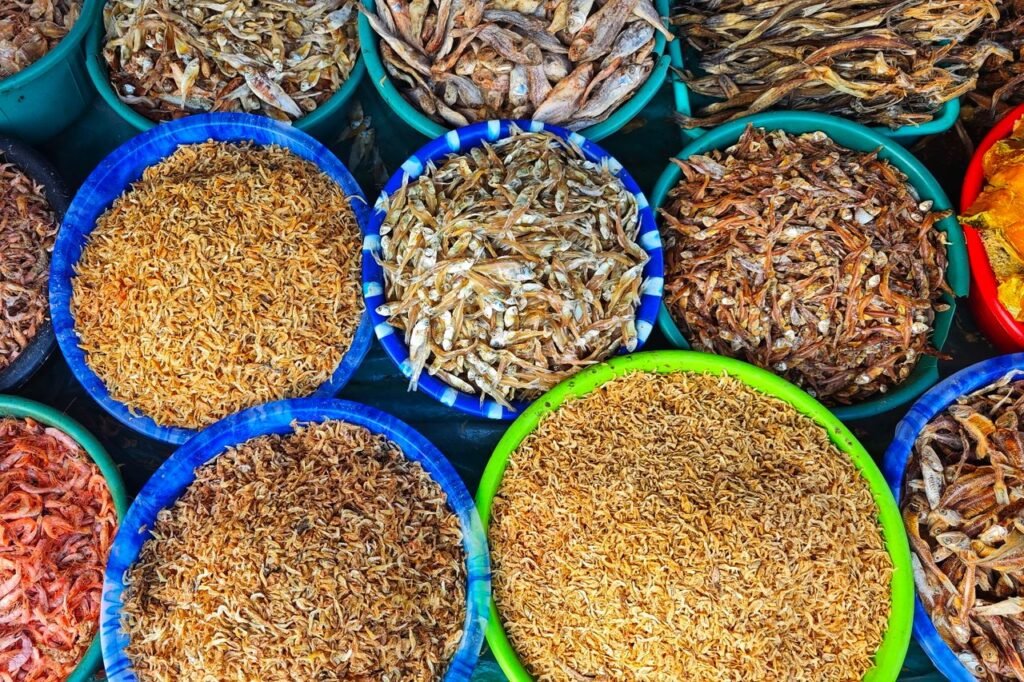 Is Wet or Dry Food Better for Cats? Vibrant overhead shot of various dried fish in colorful baskets at Digha market, India.