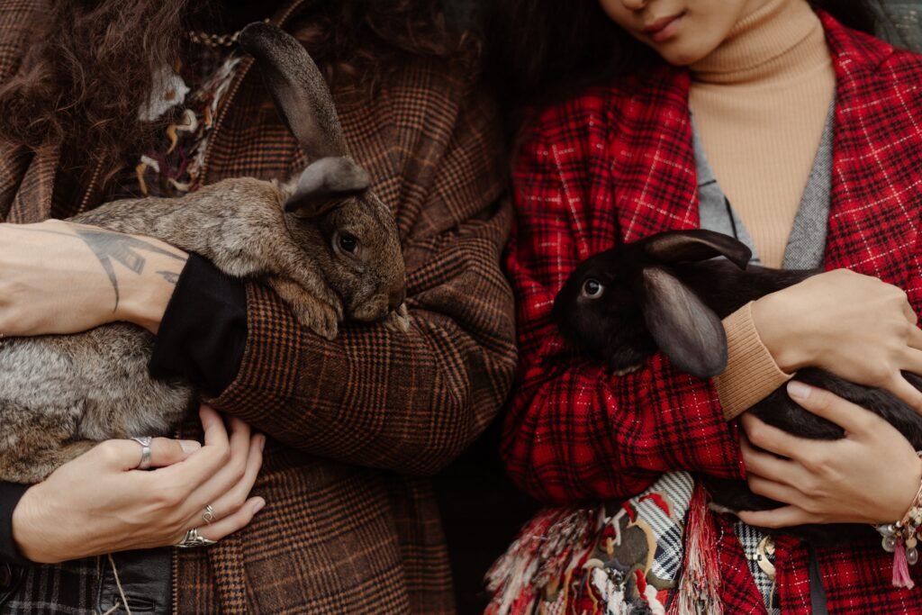Two people holding bunnies close-up, showcasing plaid fashion and gentle handling.