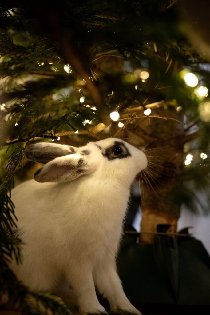 A white rabbit curiously explores under a Christmas tree adorned with sparkling lights.