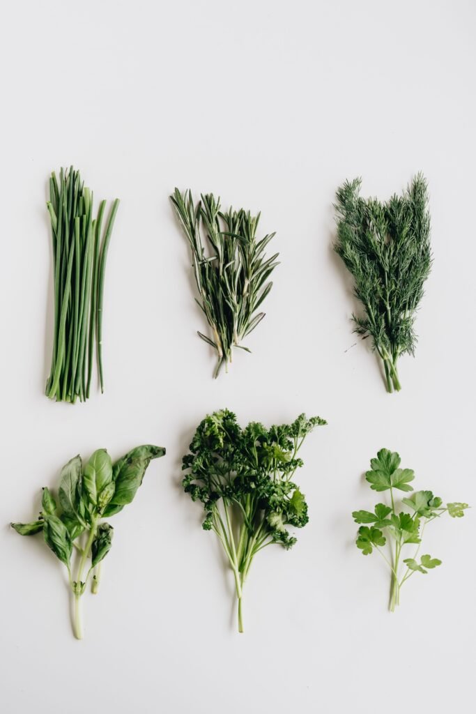 Assorted fresh herbs including basil, parsley, and dill presented on a white table.