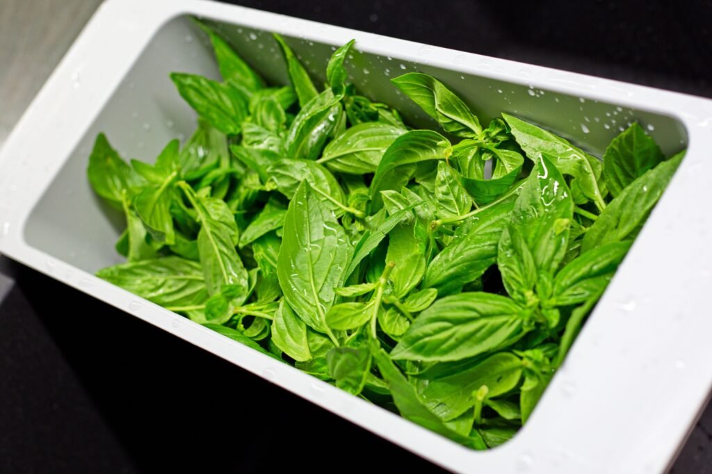 From above of plastic container in kitchen sink full of fresh green leaves of basil