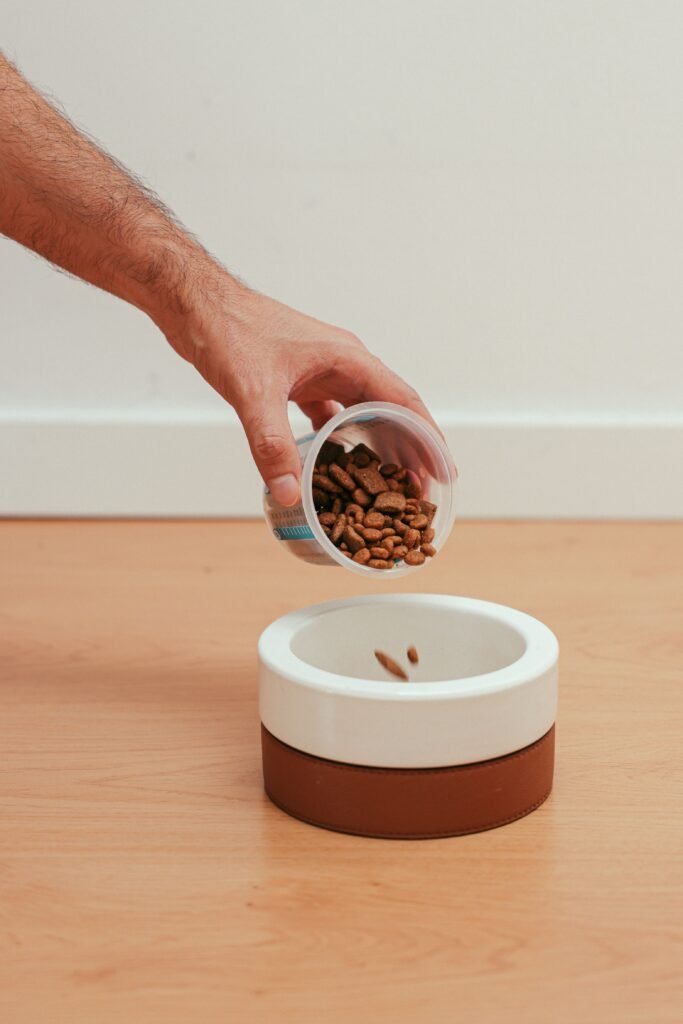 Close-up of hand pouring dry dog food from a plastic cup into a modern dog bowl on a wooden floor.